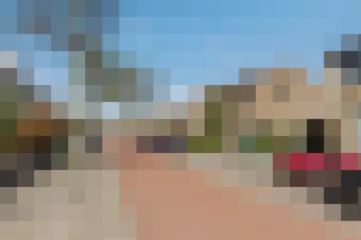 Wethouder Hollaan 8 Odijk thumbnail 59