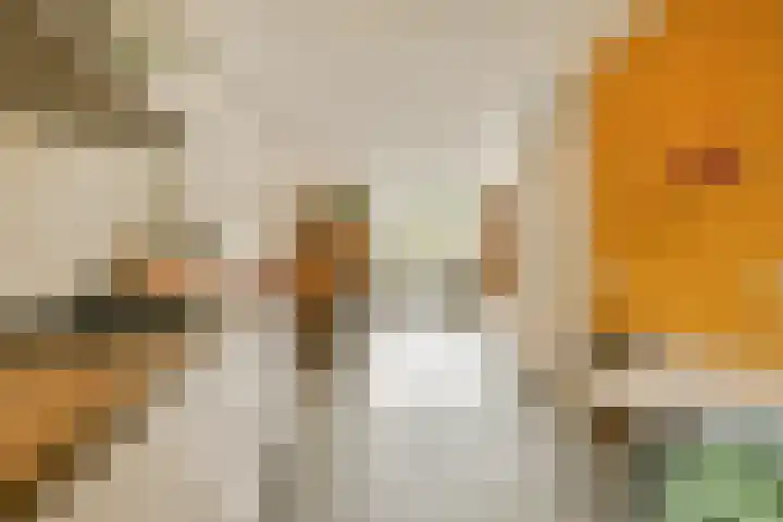 Wethouder In 't Veldstraat 15 Amsterdam thumbnail 9