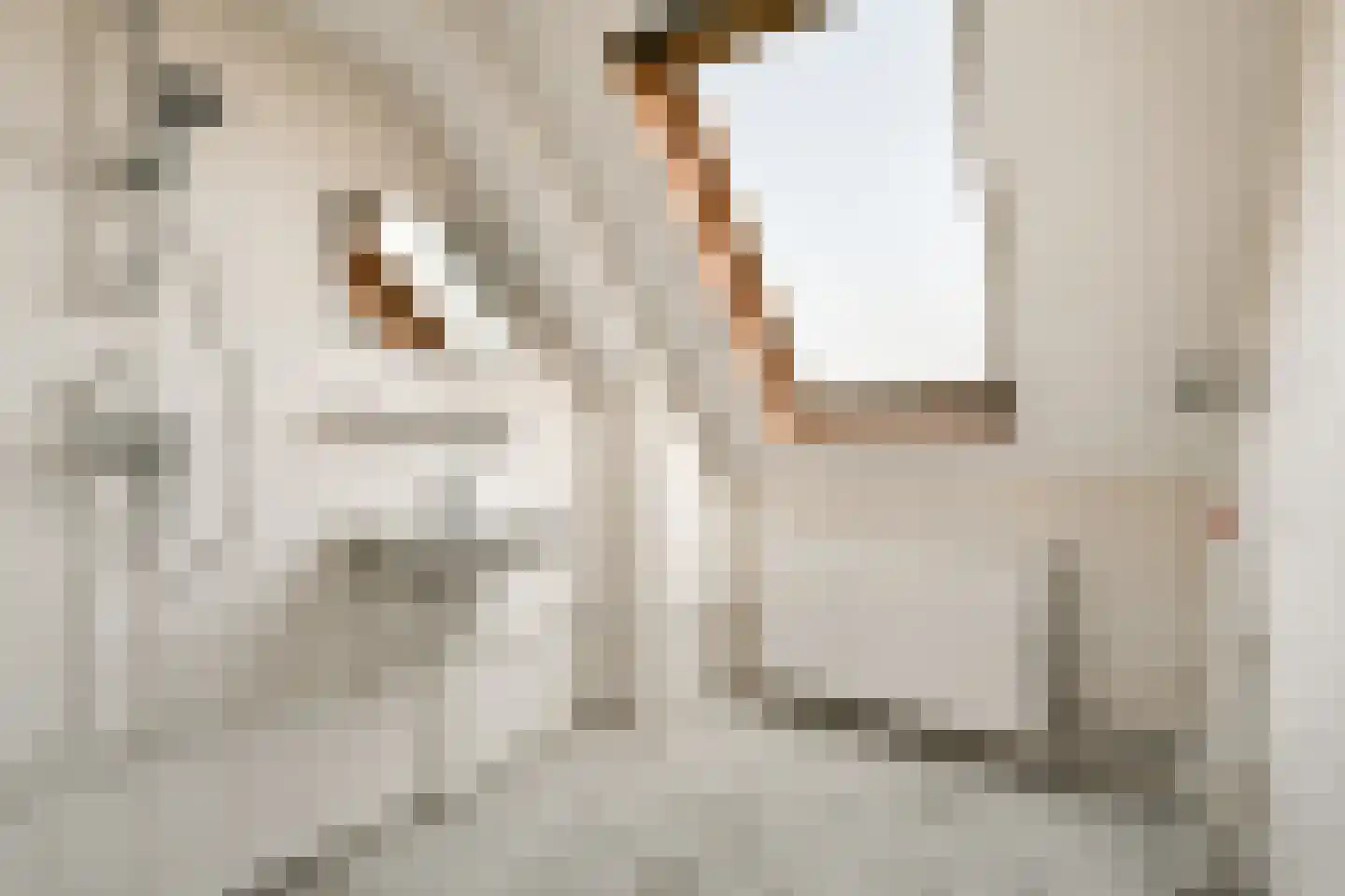 Wethouder In 't Veldstraat 46 Amsterdam thumbnail 20