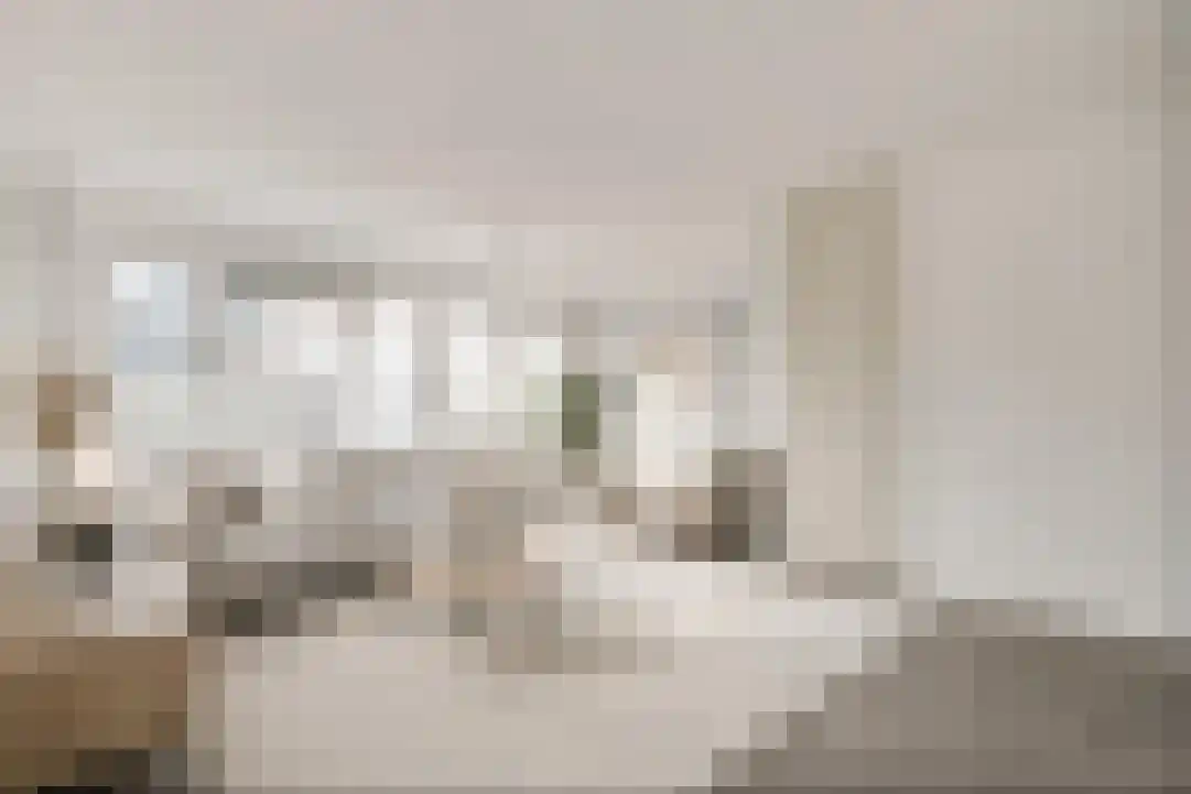 Wethouder In 't Veldstraat 46 Amsterdam thumbnail 5