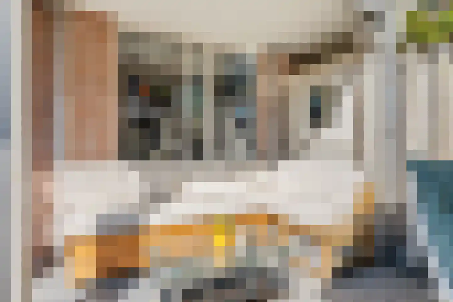 Wethouder Insingerstraat 29 Amsterdam thumbnail 16