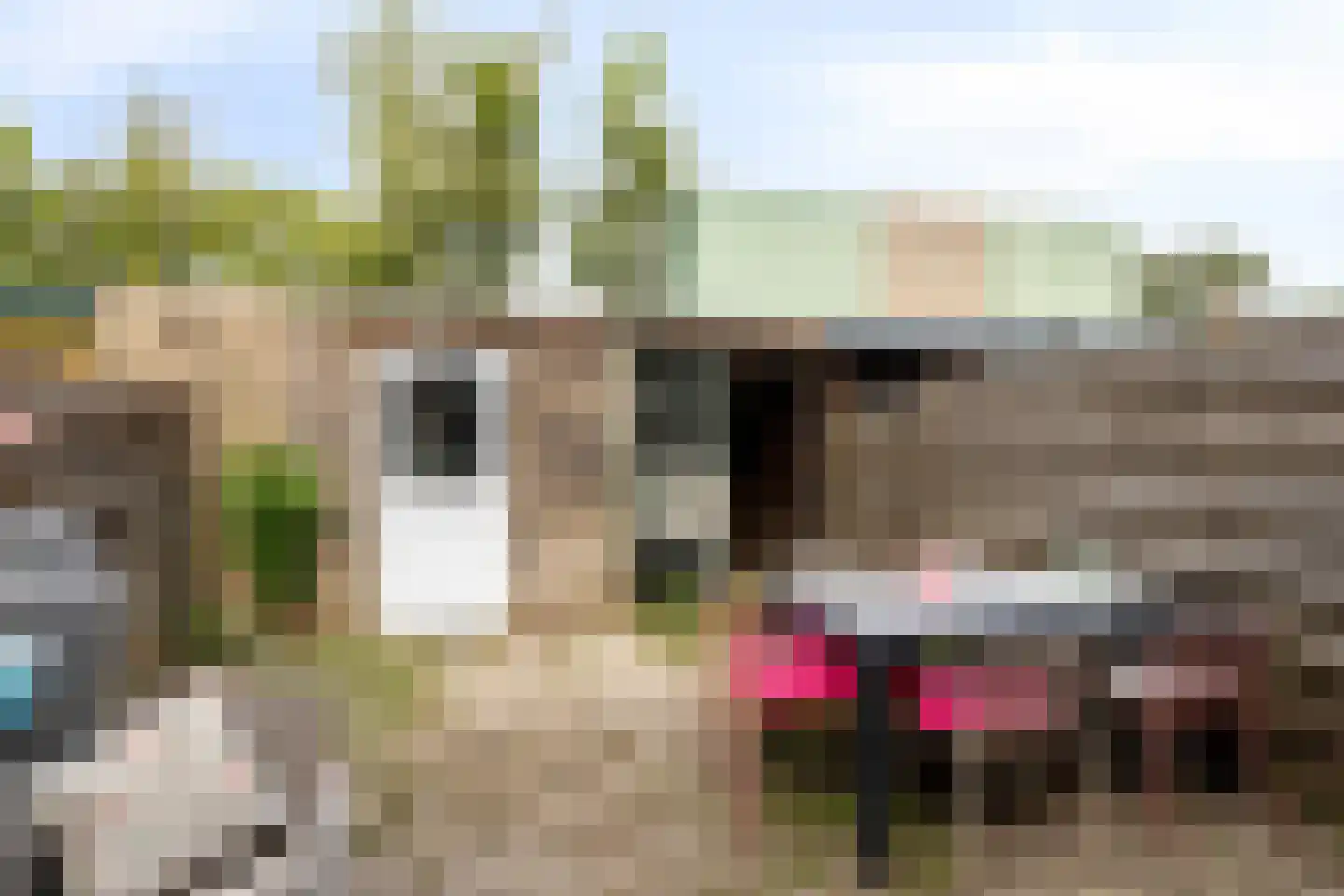 Wethouder Iwe Hutstraat 139 Leek thumbnail 33
