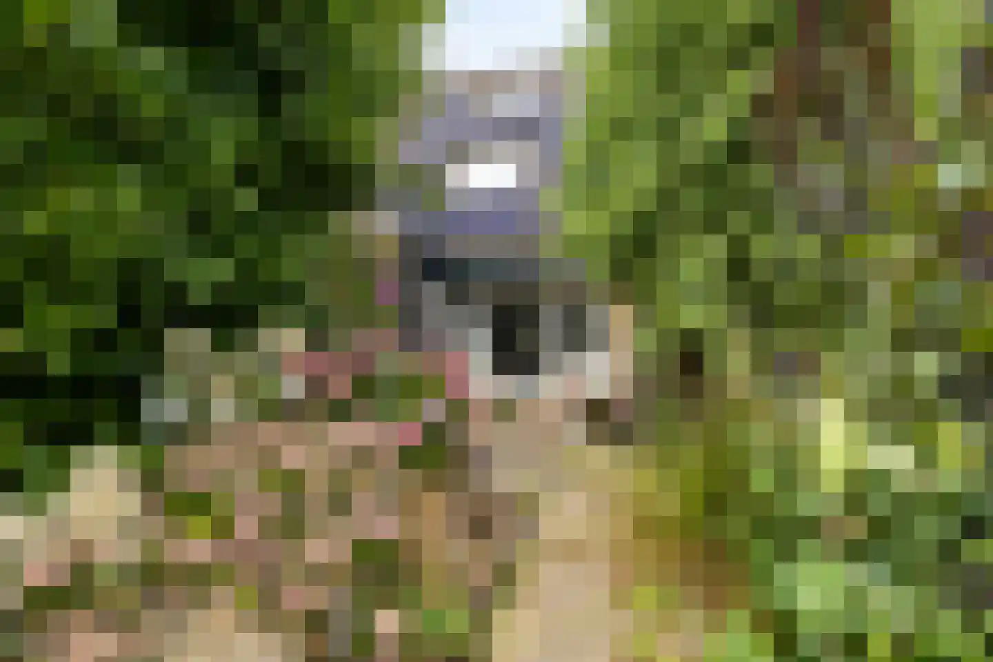 Wethouder Iwe Hutstraat 139 Leek thumbnail 6