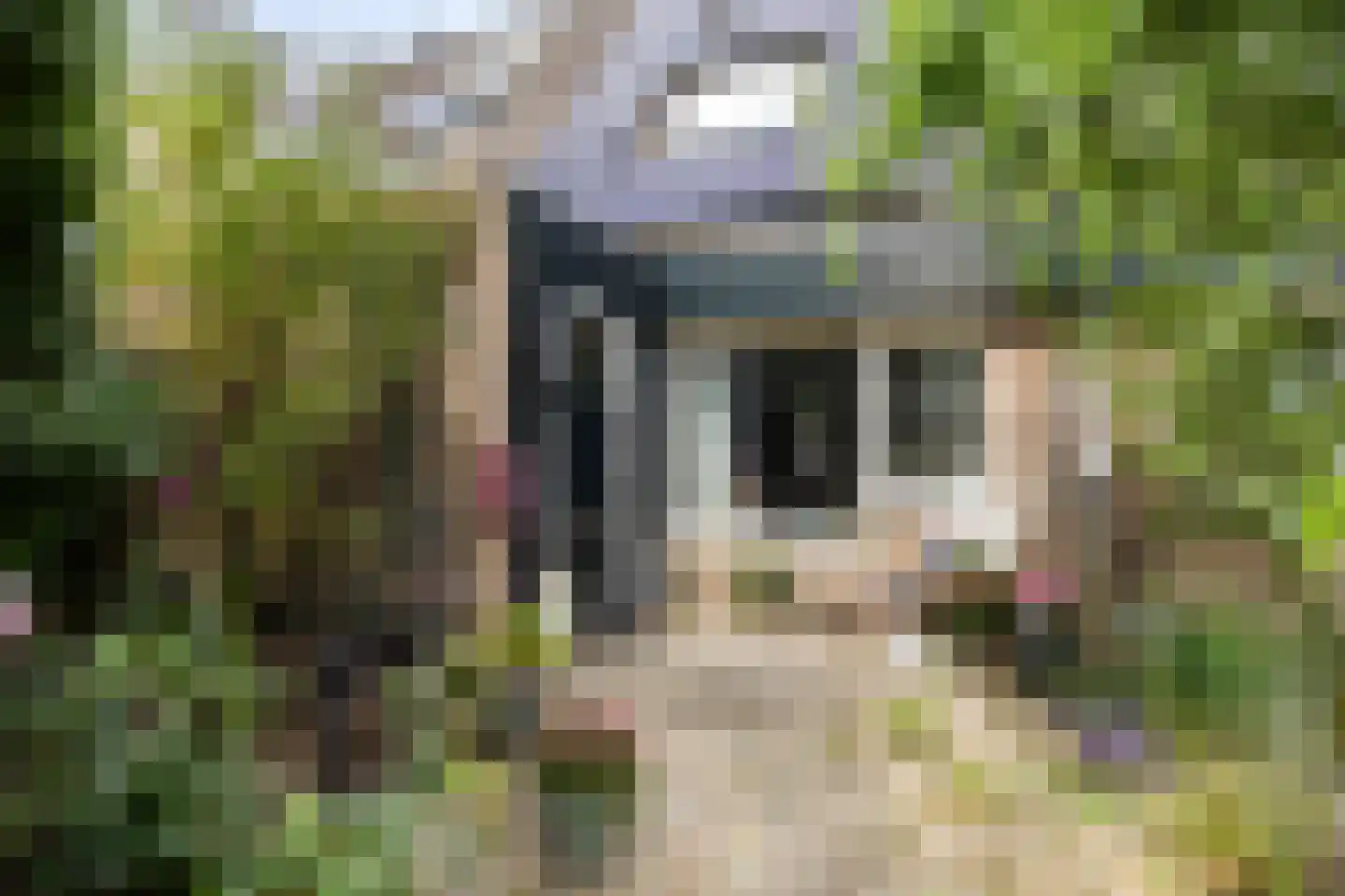 Wethouder Iwe Hutstraat 139 Leek thumbnail 9
