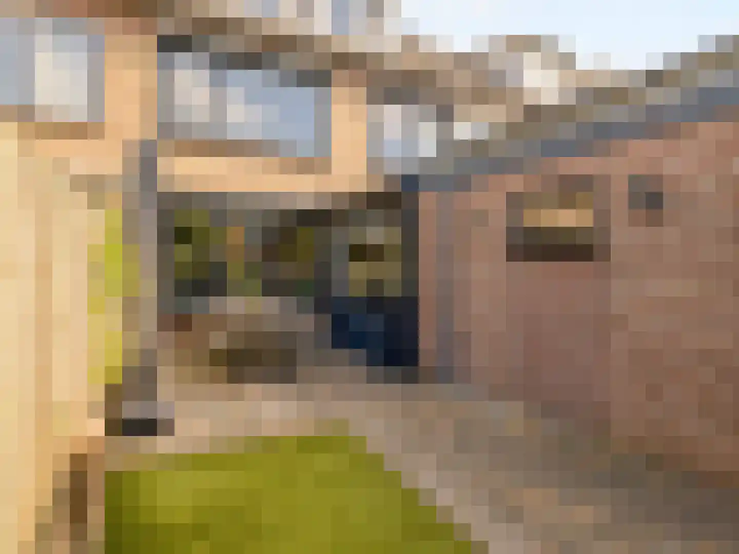 Wethouder J. de Jongstraat 50 Lexmond thumbnail 45