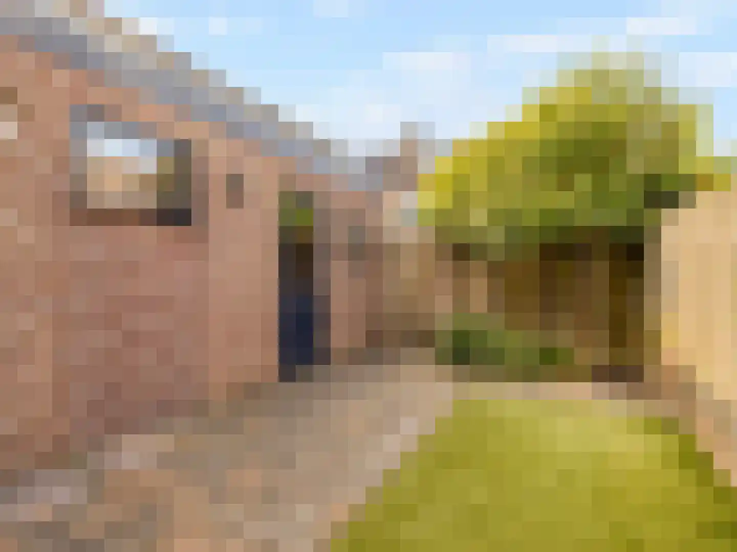 Wethouder J. de Jongstraat 50 Lexmond thumbnail 46