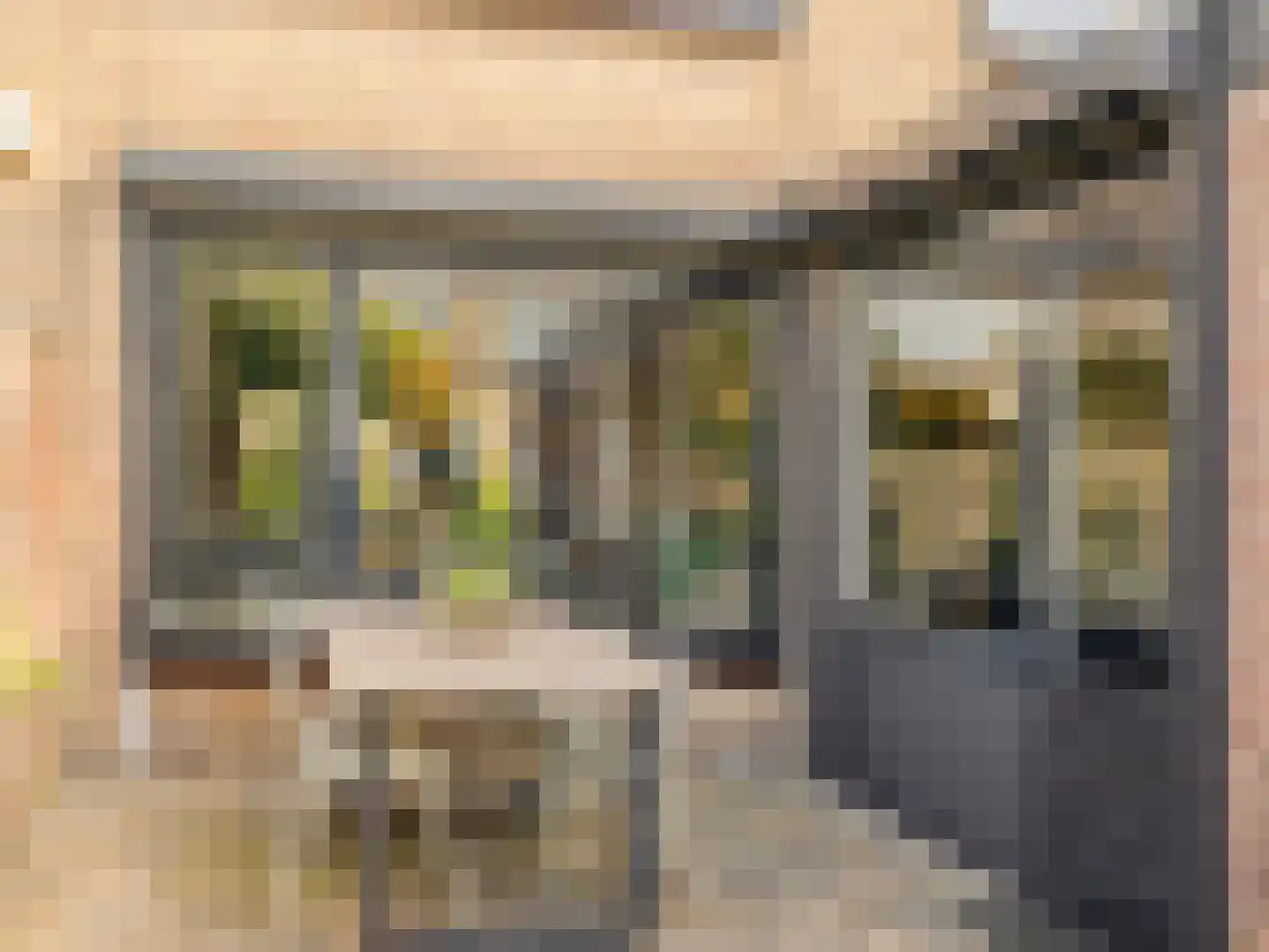 Wethouder J. de Jongstraat 50 Lexmond thumbnail 47