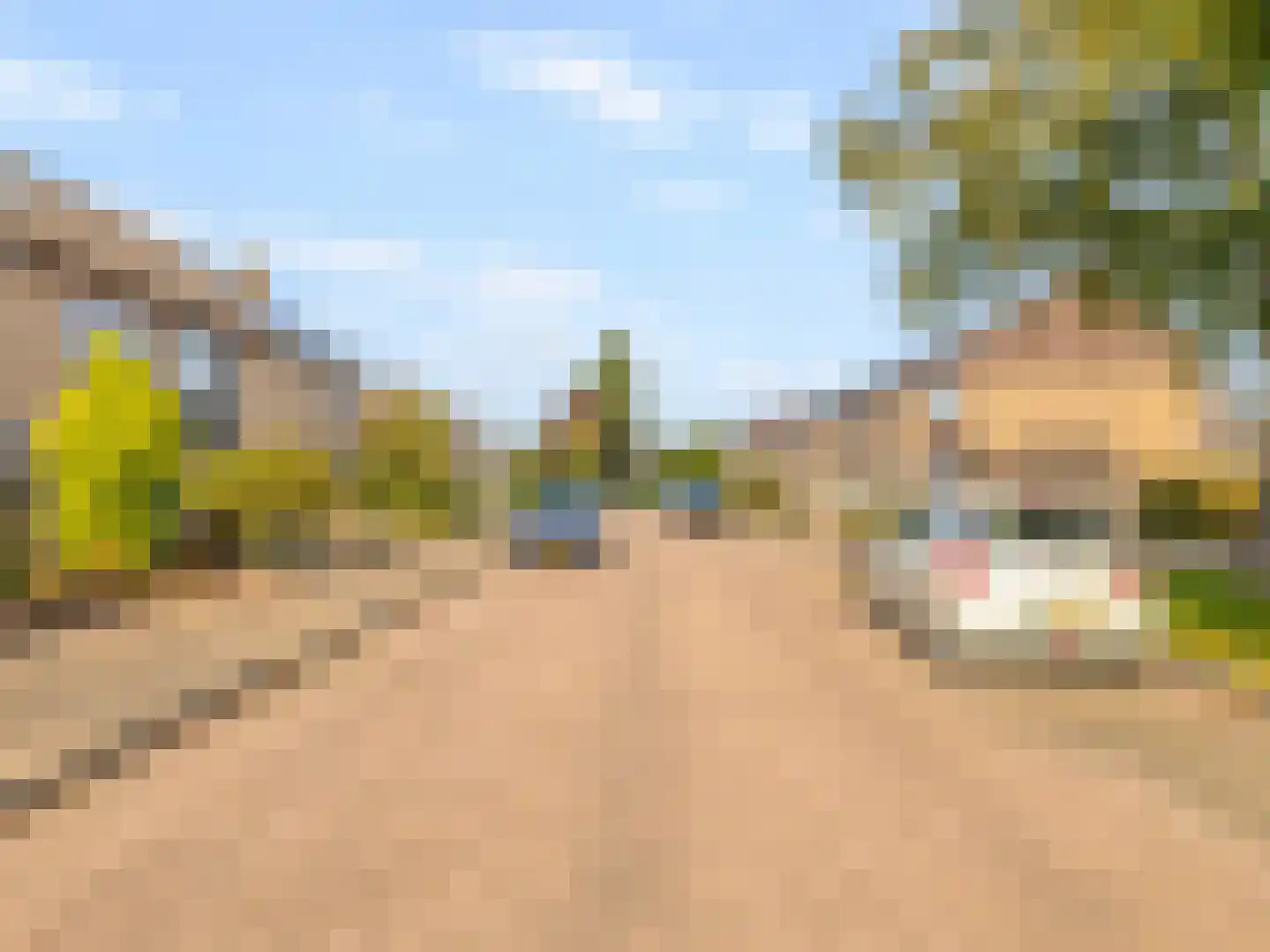 Wethouder J. de Jongstraat 50 Lexmond thumbnail 52