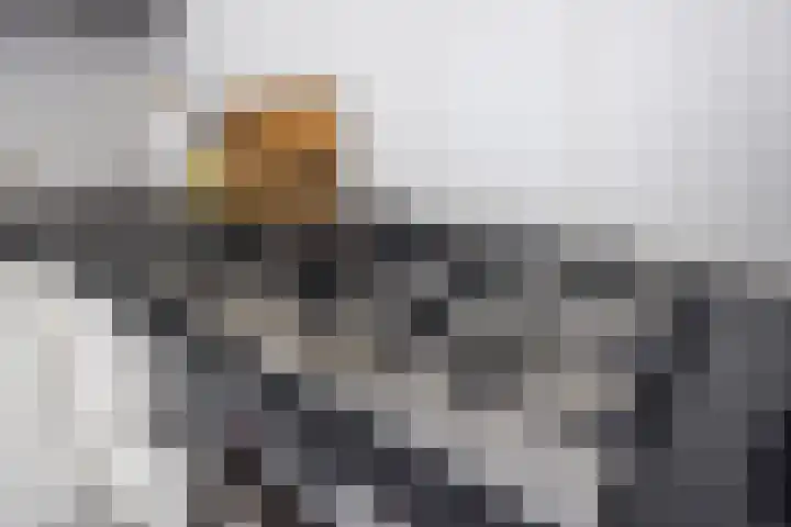 Wethouder Jansenlaan 130 Harderwijk thumbnail 30