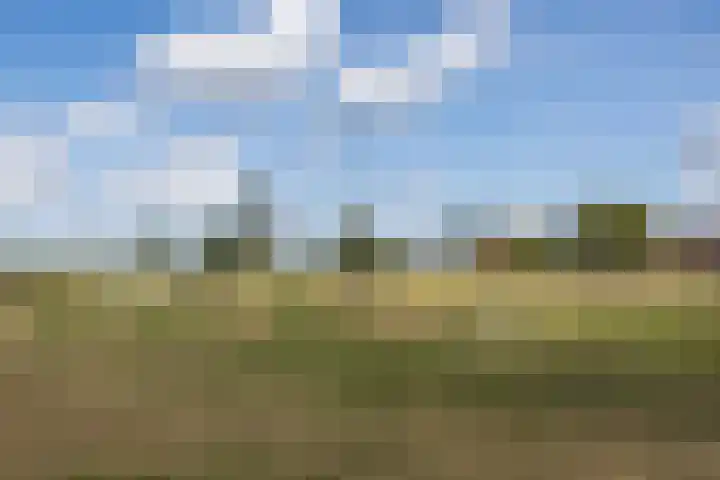 Wethouder Jansenlaan 130 Harderwijk thumbnail 54
