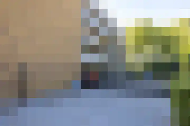 Wethouder Jansenlaan 130 Harderwijk thumbnail 6