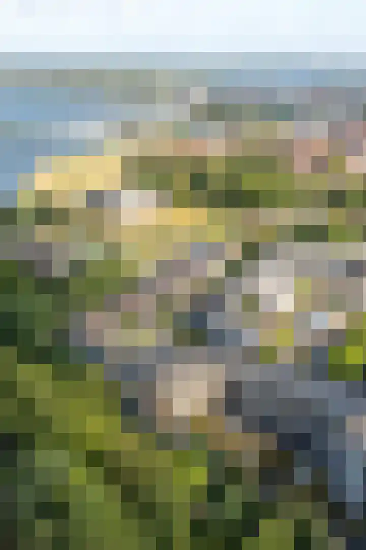 Wethouder Jansenlaan 130 Harderwijk thumbnail 65
