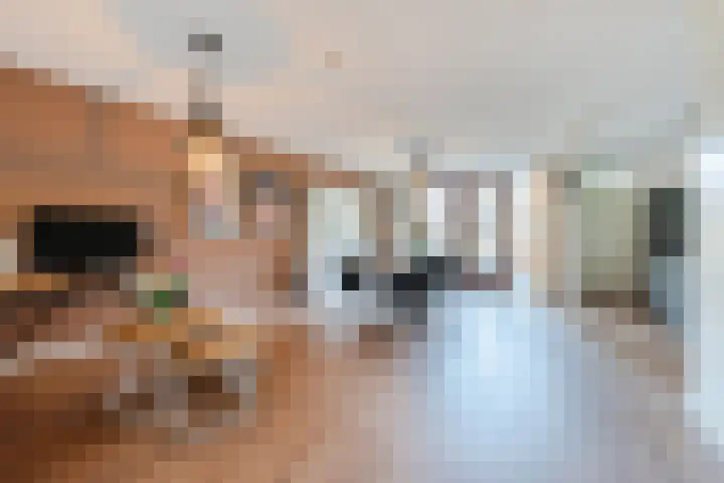 Wethouder Jeuckenstraat 11 Geldrop thumbnail 13