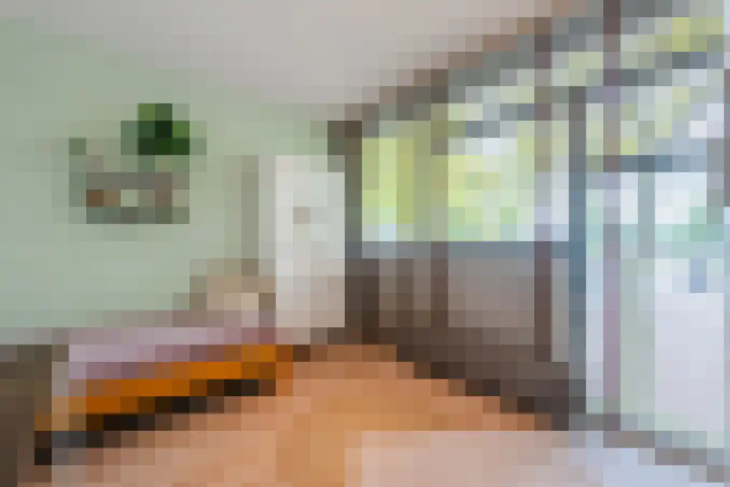 Wethouder Jeuckenstraat 11 Geldrop thumbnail 20