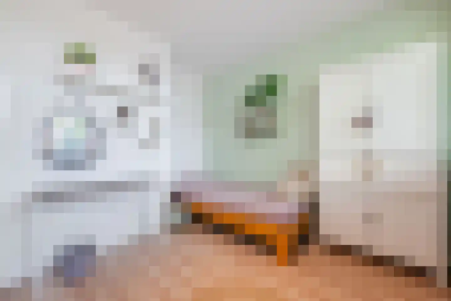 Wethouder Jeuckenstraat 11 Geldrop thumbnail 21