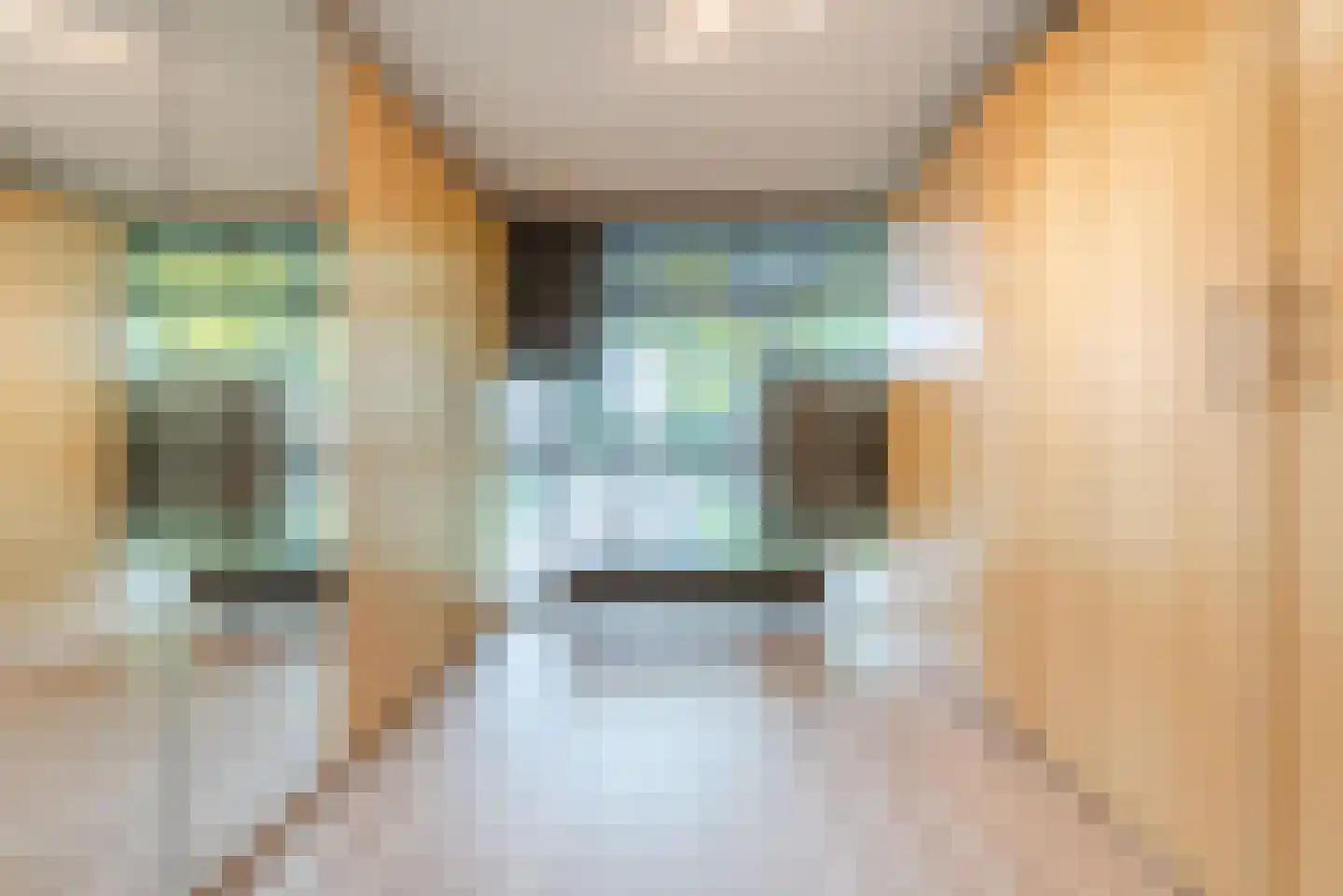Wethouder Jeuckenstraat 11 Geldrop thumbnail 23