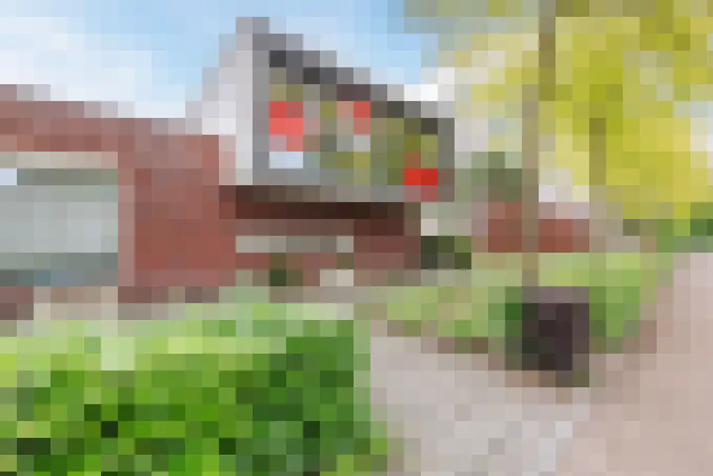 Wethouder Jeuckenstraat 11 Geldrop thumbnail 4