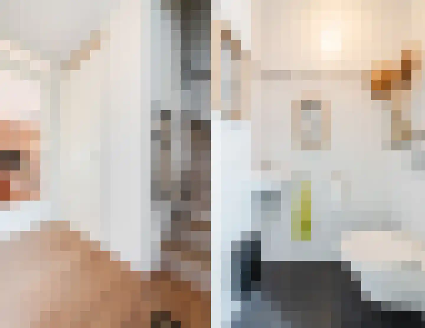 Wethouder Jeuckenstraat 11 Geldrop thumbnail 5