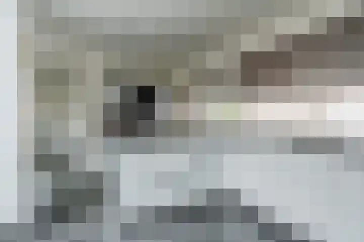 Wethouder Jeuckenstraat 7 Geldrop thumbnail 17