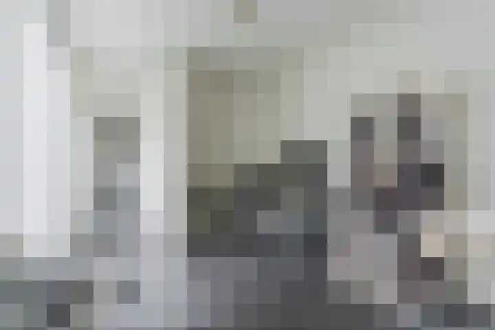 Wethouder Jeuckenstraat 7 Geldrop thumbnail 18
