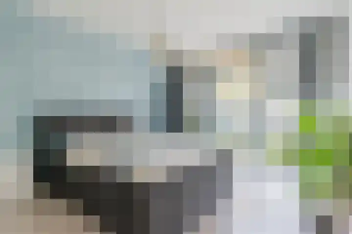 Wethouder Jeuckenstraat 7 Geldrop thumbnail 21