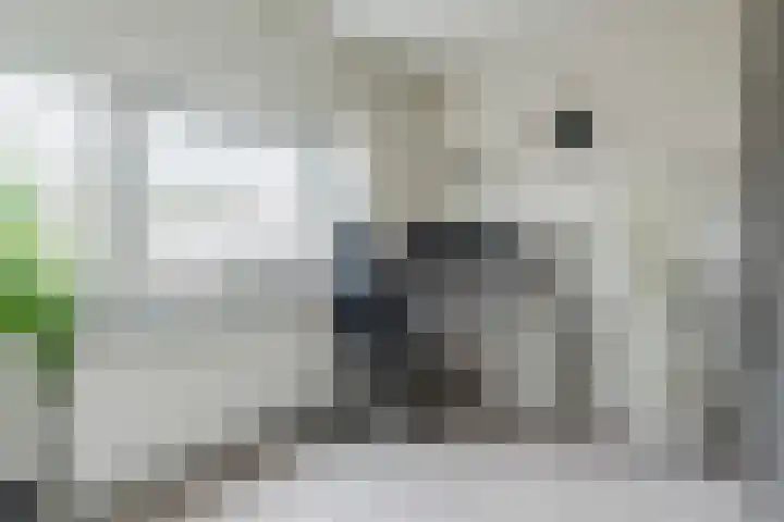 Wethouder Jeuckenstraat 7 Geldrop thumbnail 23