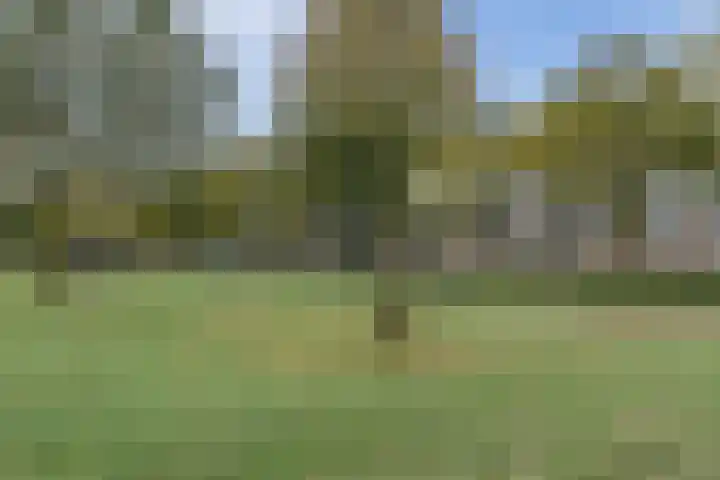 Wethouder Jeuckenstraat 7 Geldrop thumbnail 34