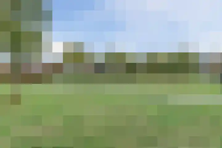 Wethouder Jeuckenstraat 7 Geldrop thumbnail 35