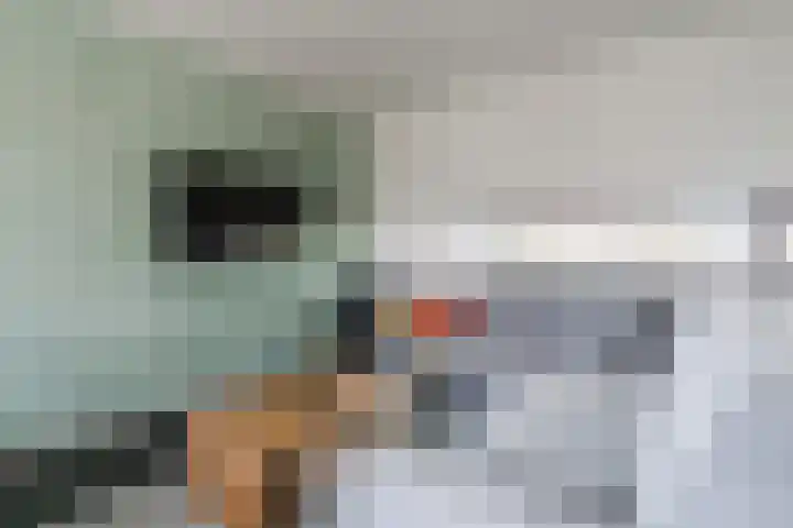 Wethouder Jeuckenstraat 7 Geldrop thumbnail 8