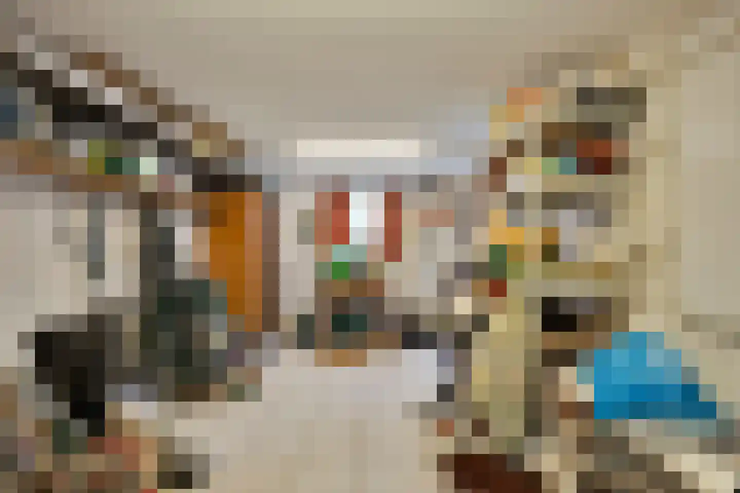 Wethouder Jonkersstraat 37 Halsteren thumbnail 12