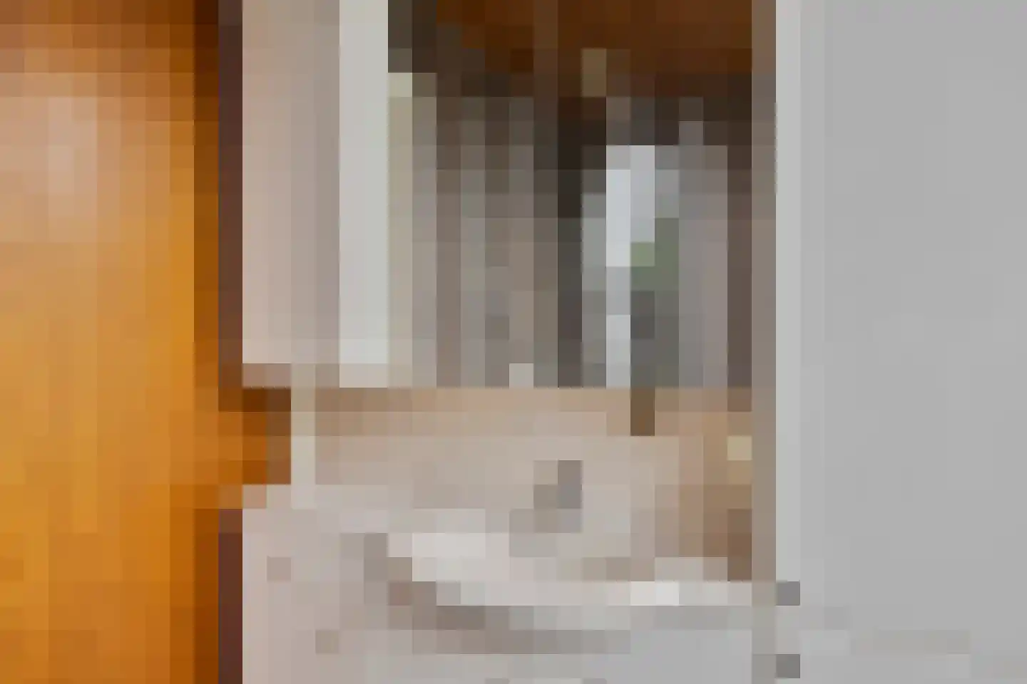 Wethouder Jonkersstraat 37 Halsteren thumbnail 19
