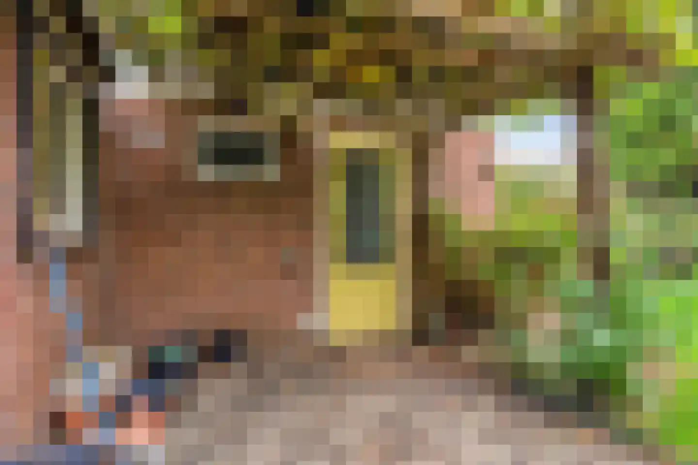 Wethouder Jonkersstraat 37 Halsteren thumbnail 22
