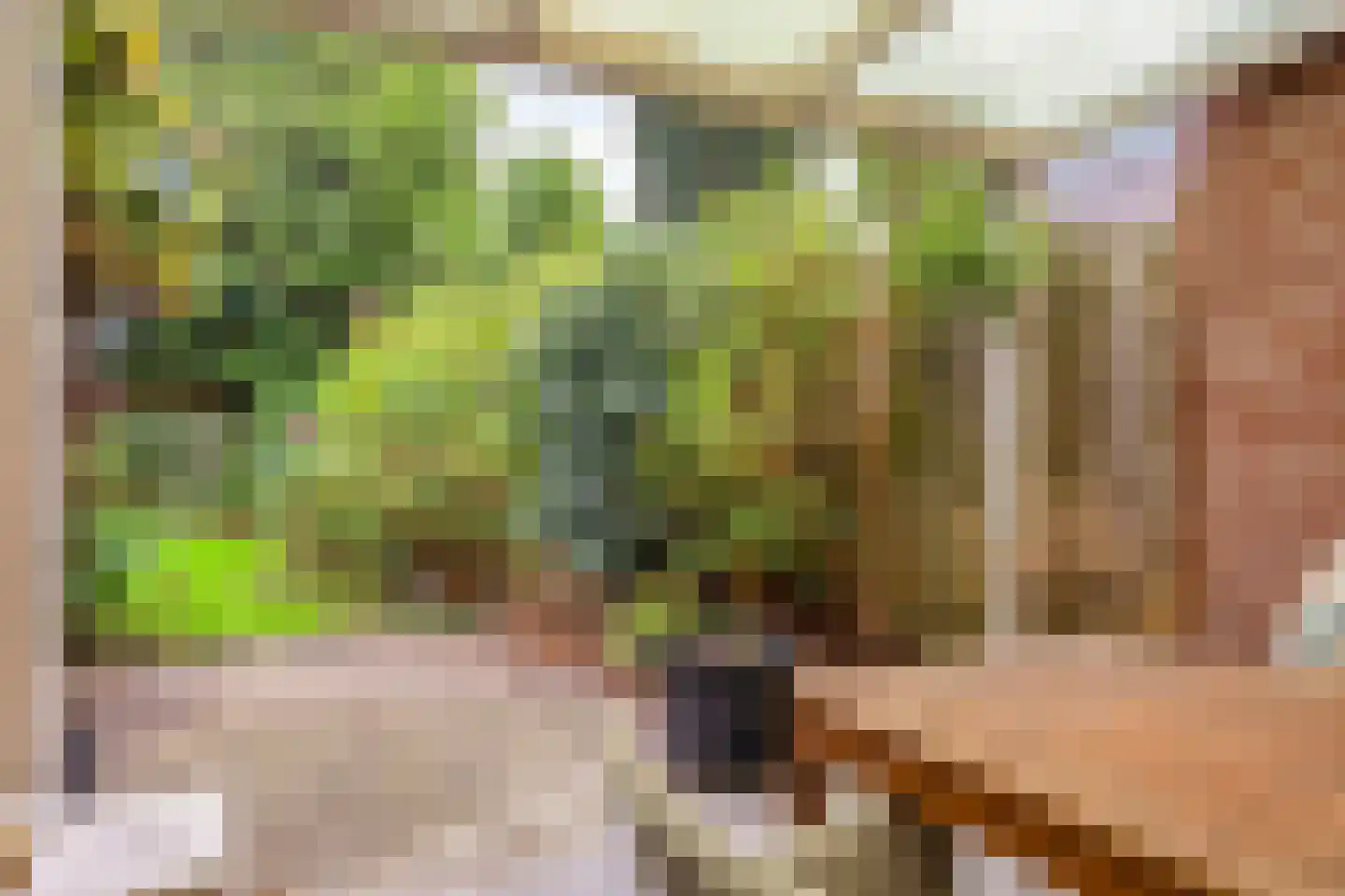 Wethouder Jonkersstraat 37 Halsteren thumbnail 23