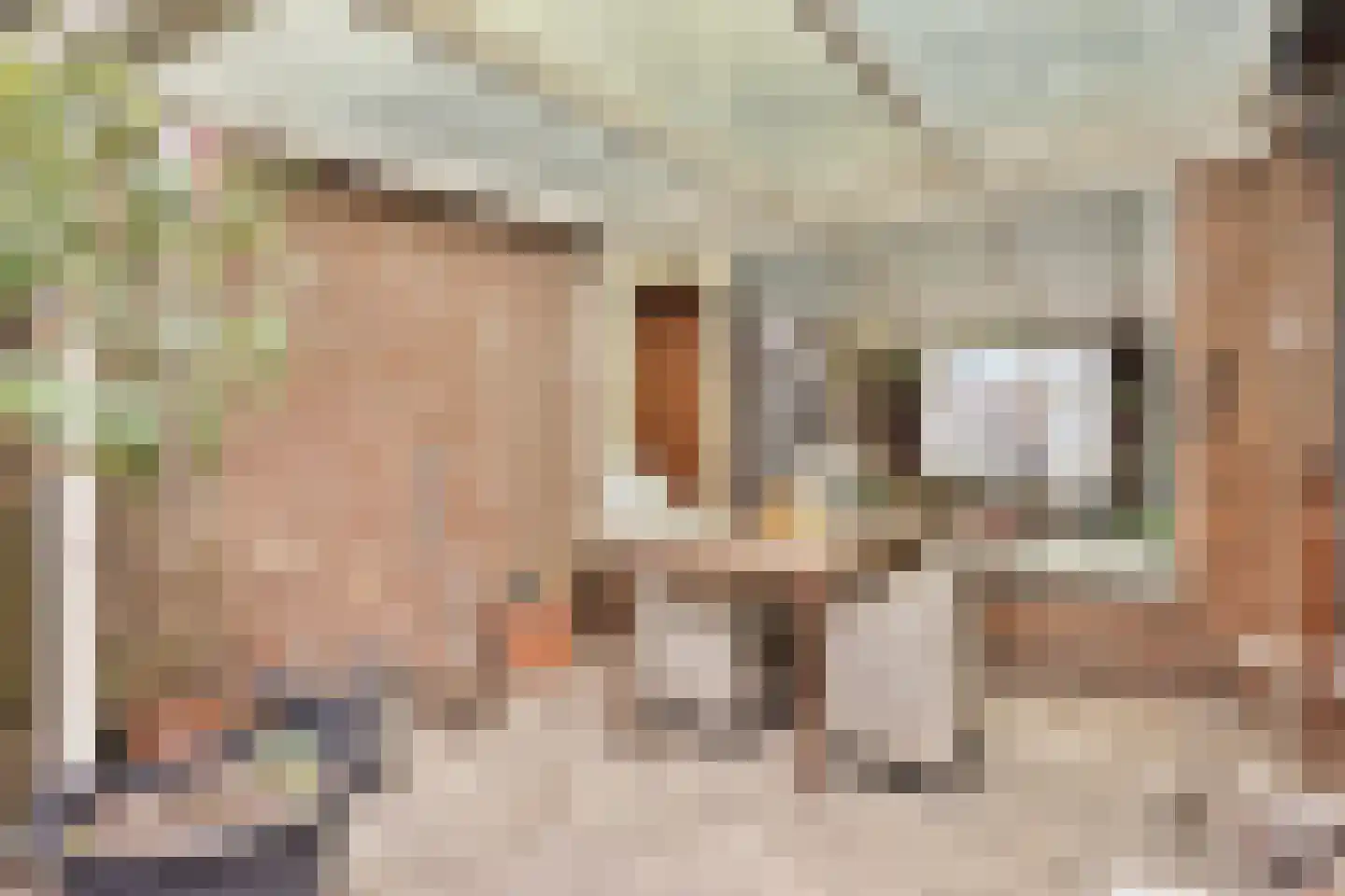 Wethouder Jonkersstraat 37 Halsteren thumbnail 24