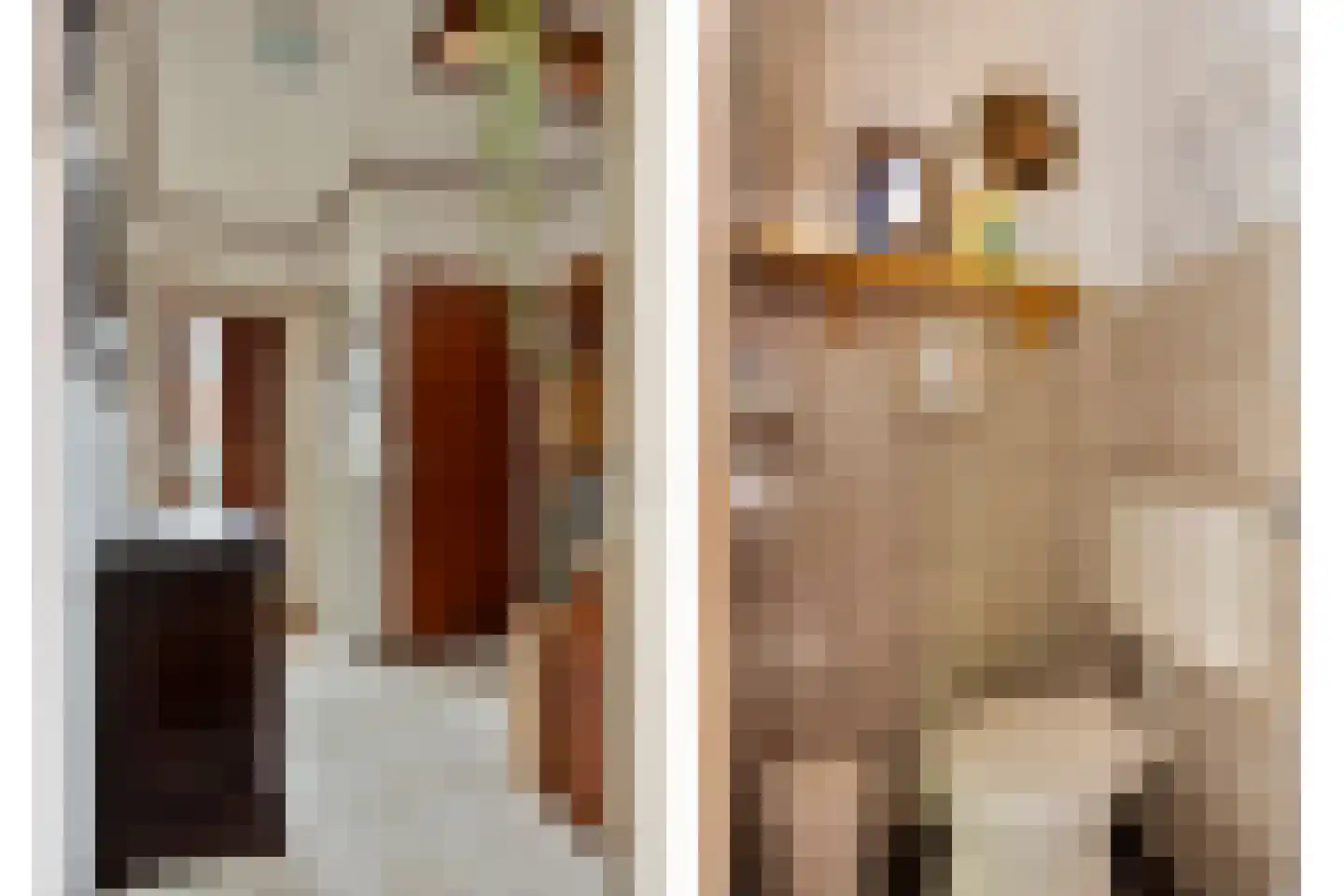 Wethouder Jonkersstraat 37 Halsteren thumbnail 7