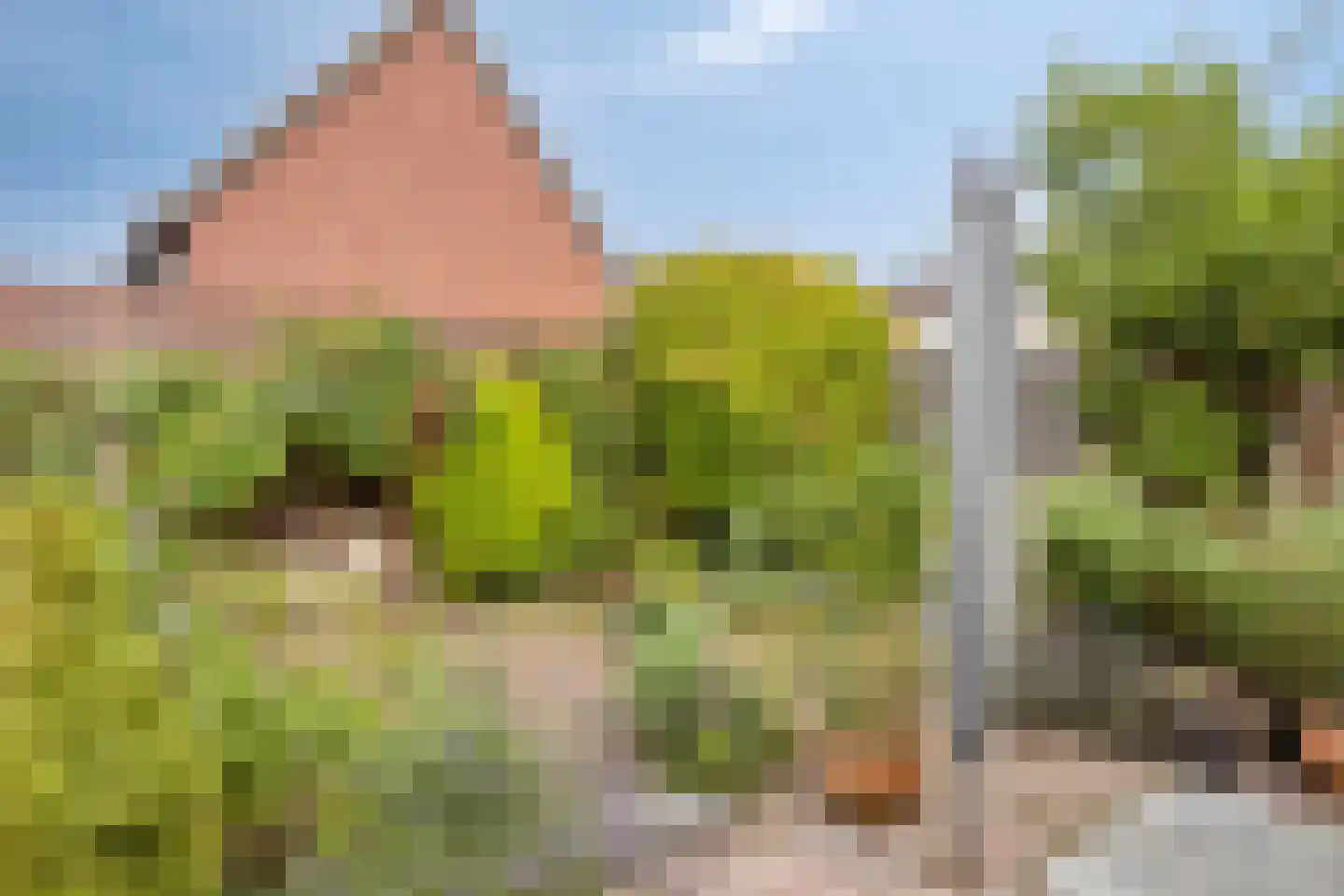 Wethouder Jonkersstraat 48 Halsteren thumbnail 31