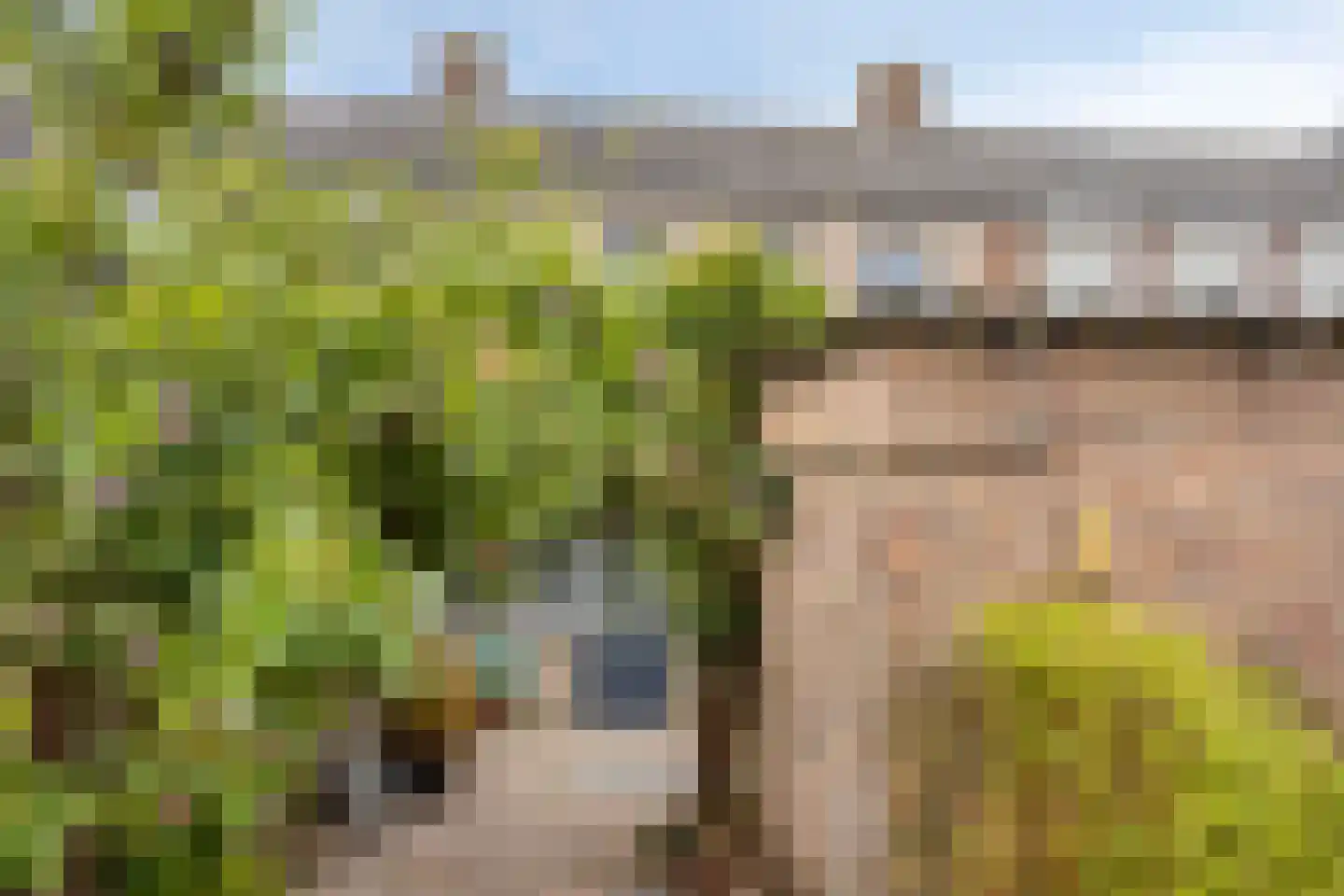 Wethouder Jonkersstraat 48 Halsteren thumbnail 32