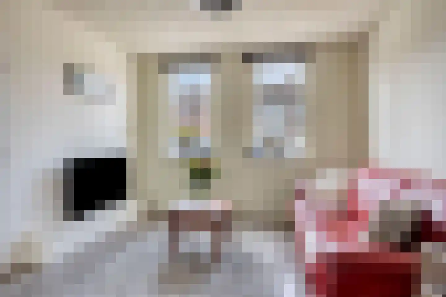 Wethouder Jonkersstraat 48 Halsteren thumbnail 9