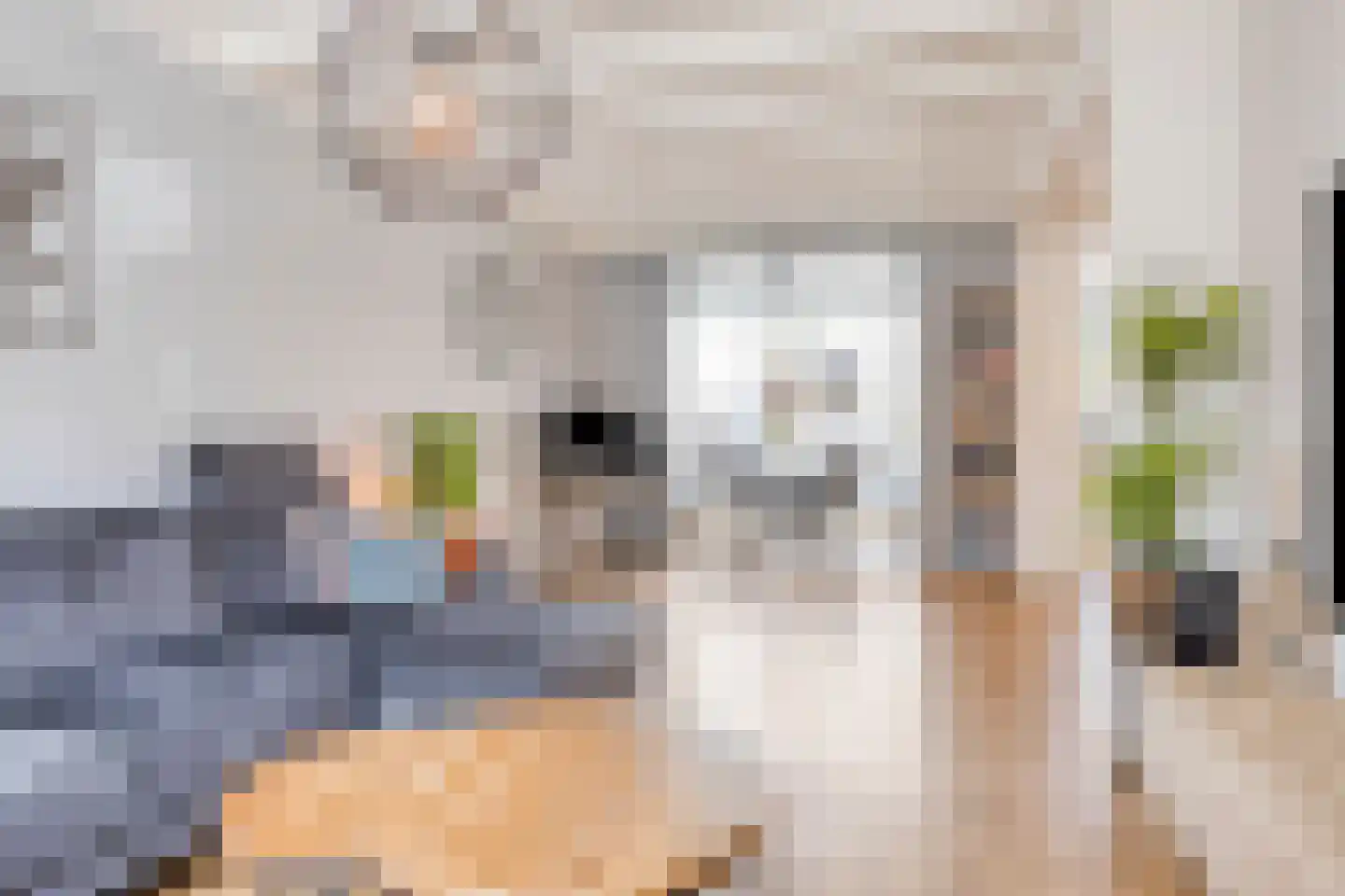 Wethouder Jonkersstraat 50 Halsteren thumbnail 8