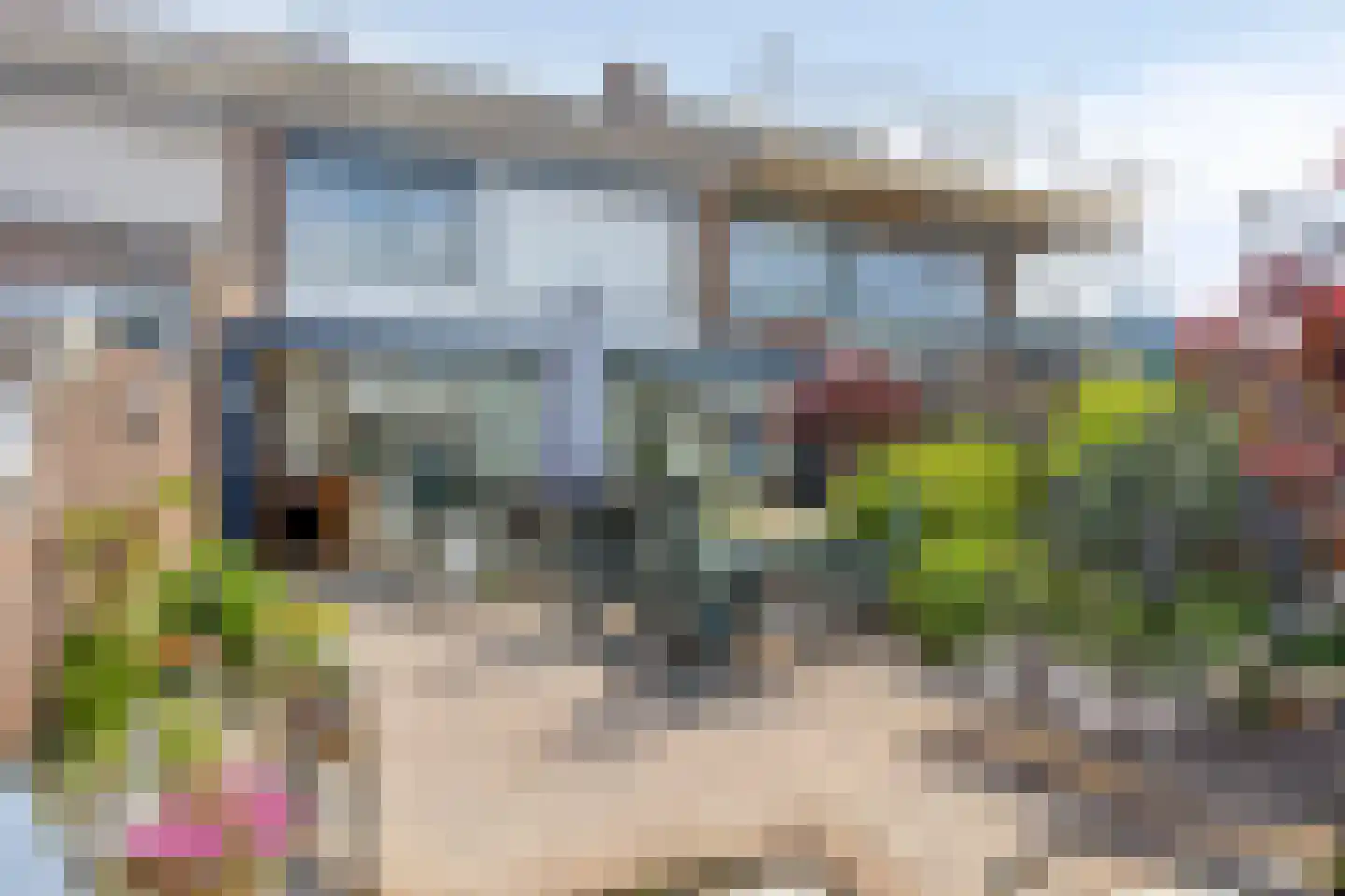 Wethouder Jonkersstraat 54 Halsteren thumbnail 18