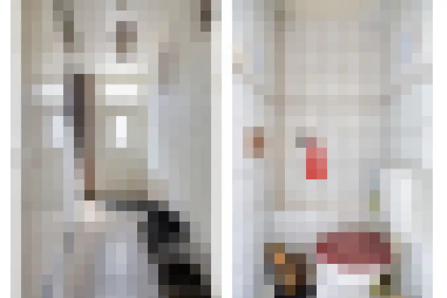 Wethouder Jonkersstraat 54 Halsteren thumbnail 6