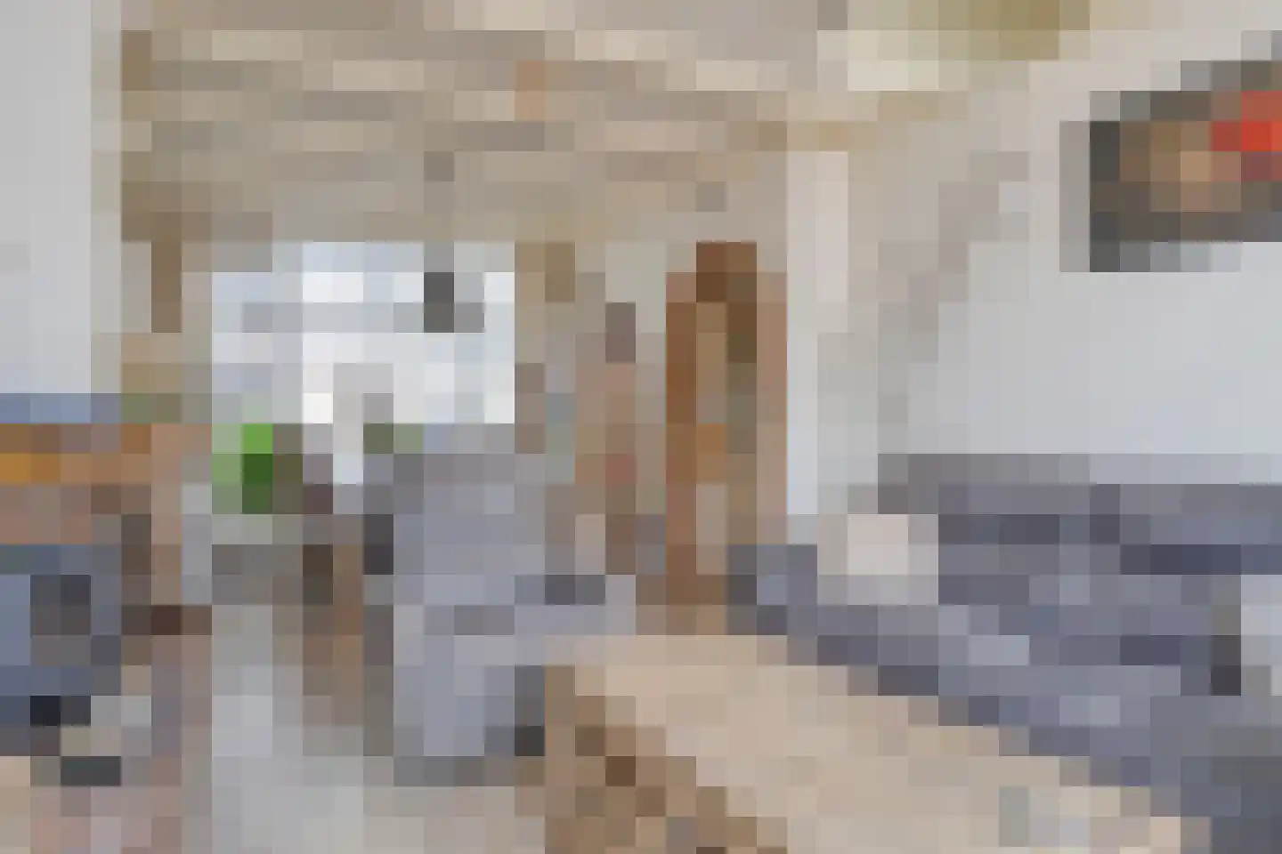 Wethouder Jonkersstraat 54 Halsteren thumbnail 7