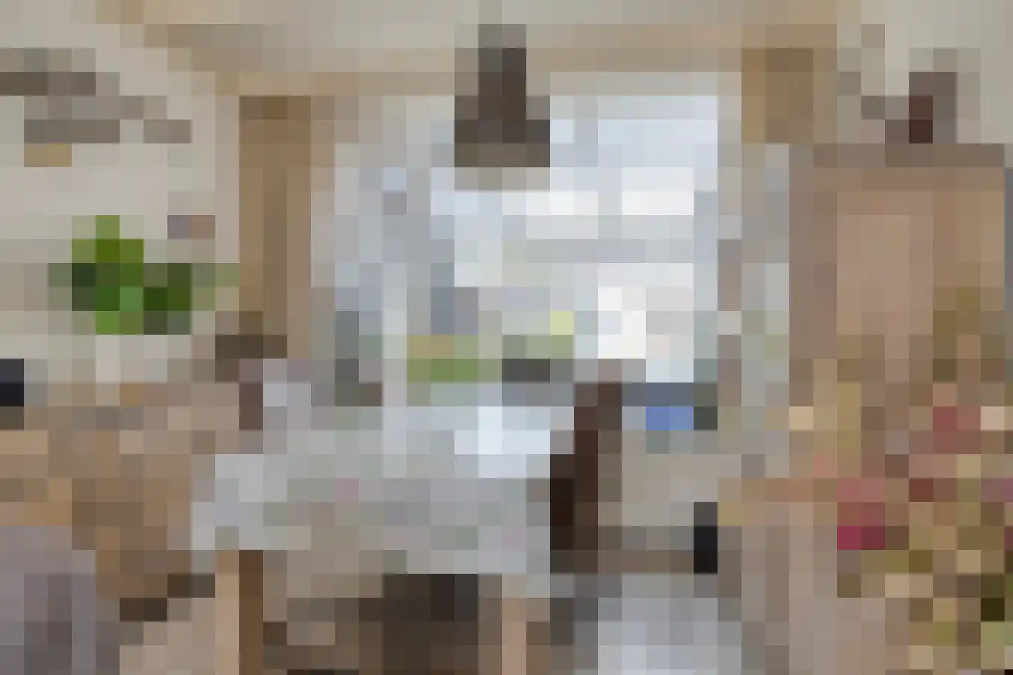 Wethouder Jonkersstraat 54 Halsteren thumbnail 8