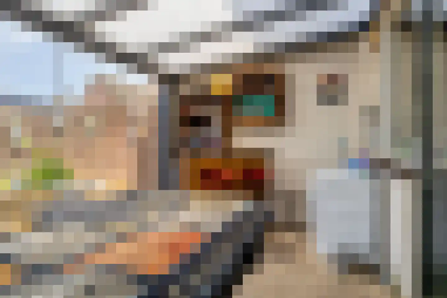 Wethouder Jonkersstraat 54 Halsteren thumbnail 9
