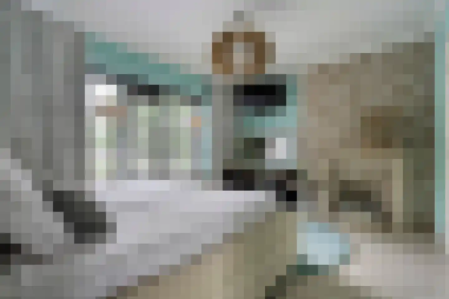 Wethouder Kampstraat 161 Hengelo thumbnail 24
