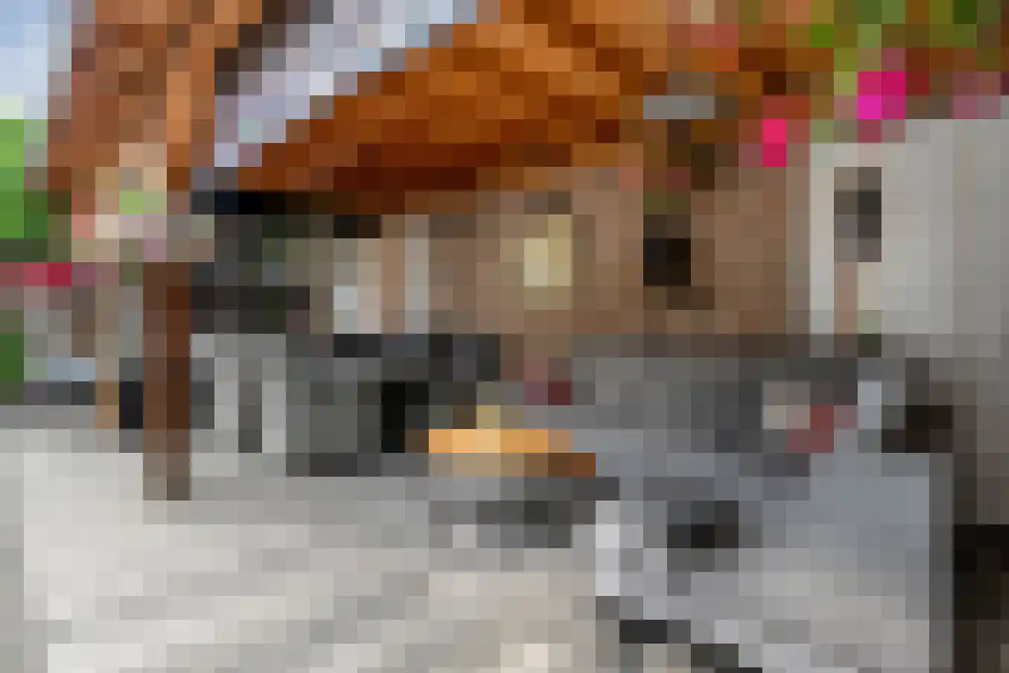 Wethouder Kampstraat 161 Hengelo thumbnail 4