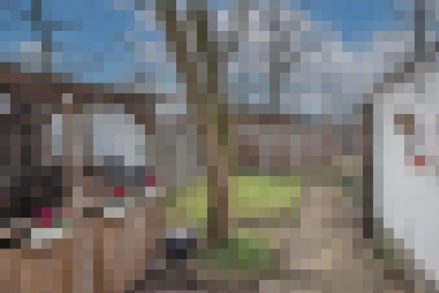 Wethouder Kampstraat 4 Hengelo thumbnail 25