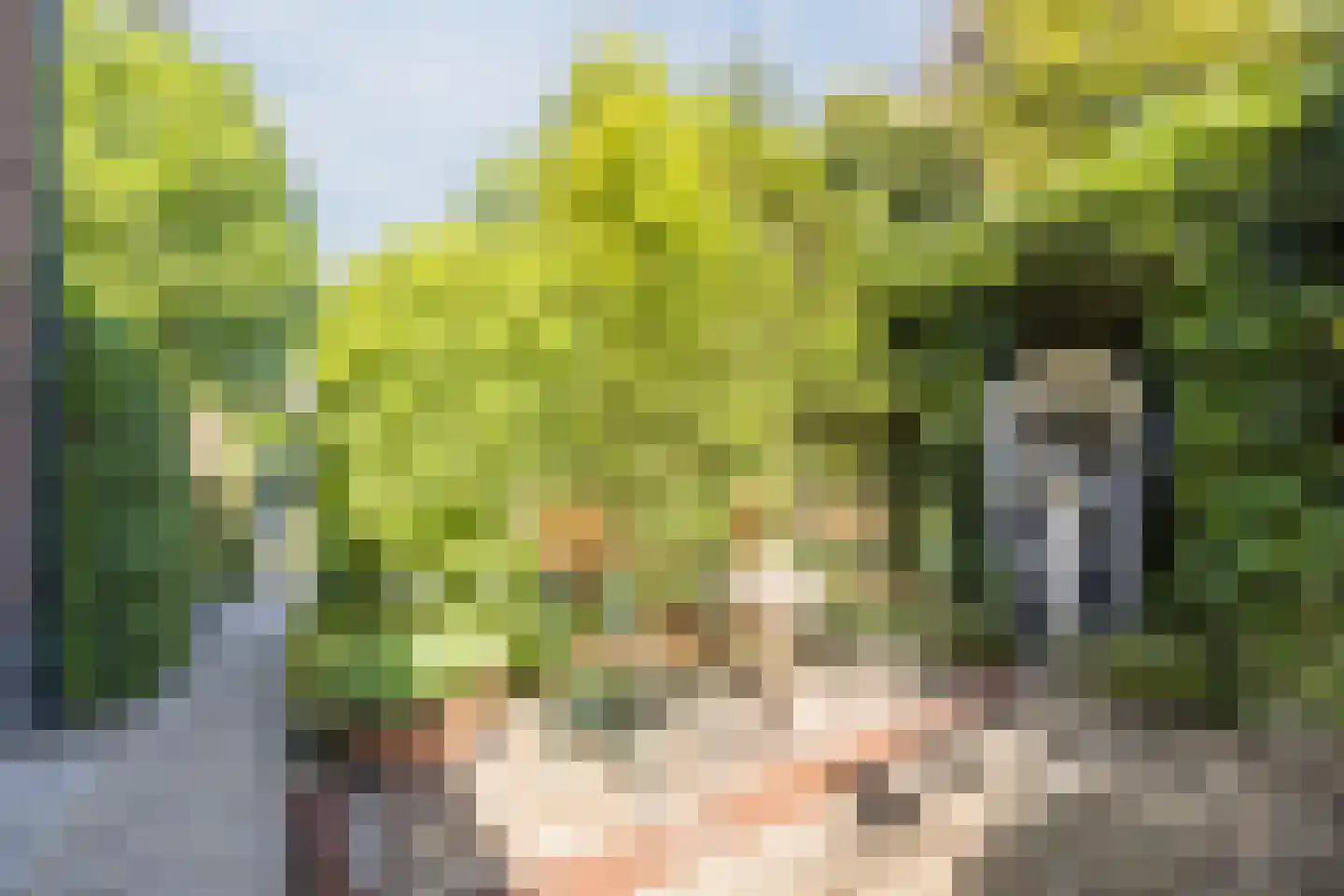 Wethouder Kentiestraat 1 a Woudrichem thumbnail 32