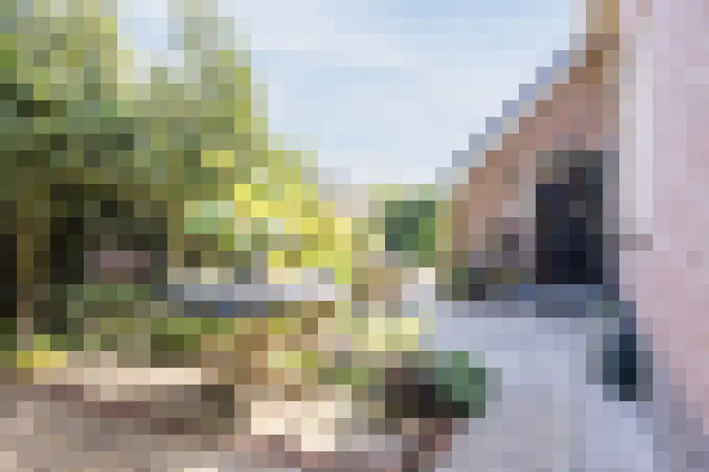 Wethouder Kentiestraat 1 a Woudrichem thumbnail 33