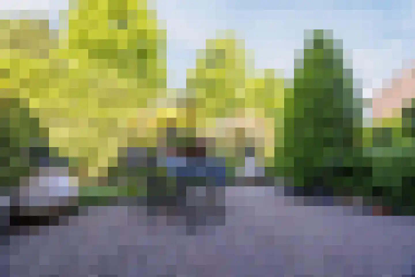 Wethouder Kentiestraat 1 a Woudrichem thumbnail 38